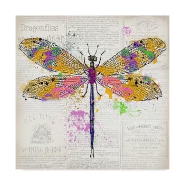 Jean Plout 'Dragonfly On Newsprint 3' Canvas Art, 24x24, Trademark Fine Art, Mfr#: ALI37350-C2424GG
